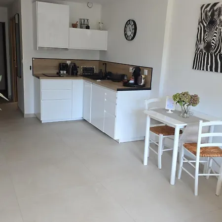 Apartment Le Nid Du Neuf Aix-les-Bains